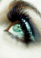 Beauty and Lifestyle collection